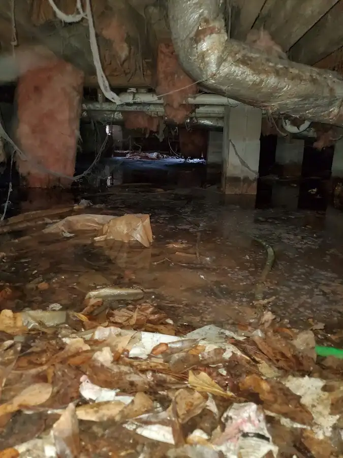 Crawl space flood assessment for Commercial Water Damage Restoration in Gallup